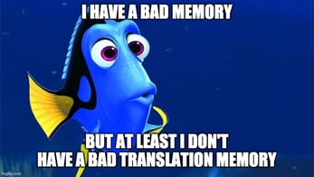 translation memory