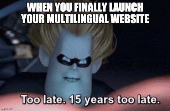 Slow turnaround time for website translation meme