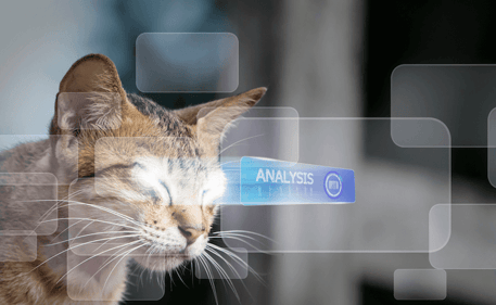 cat tools