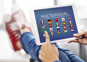 többnyelvű webhely
