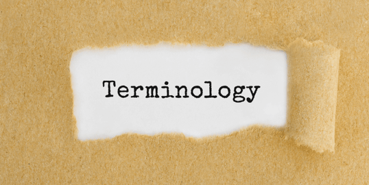 terminology base for translation