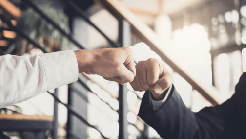 translation partners