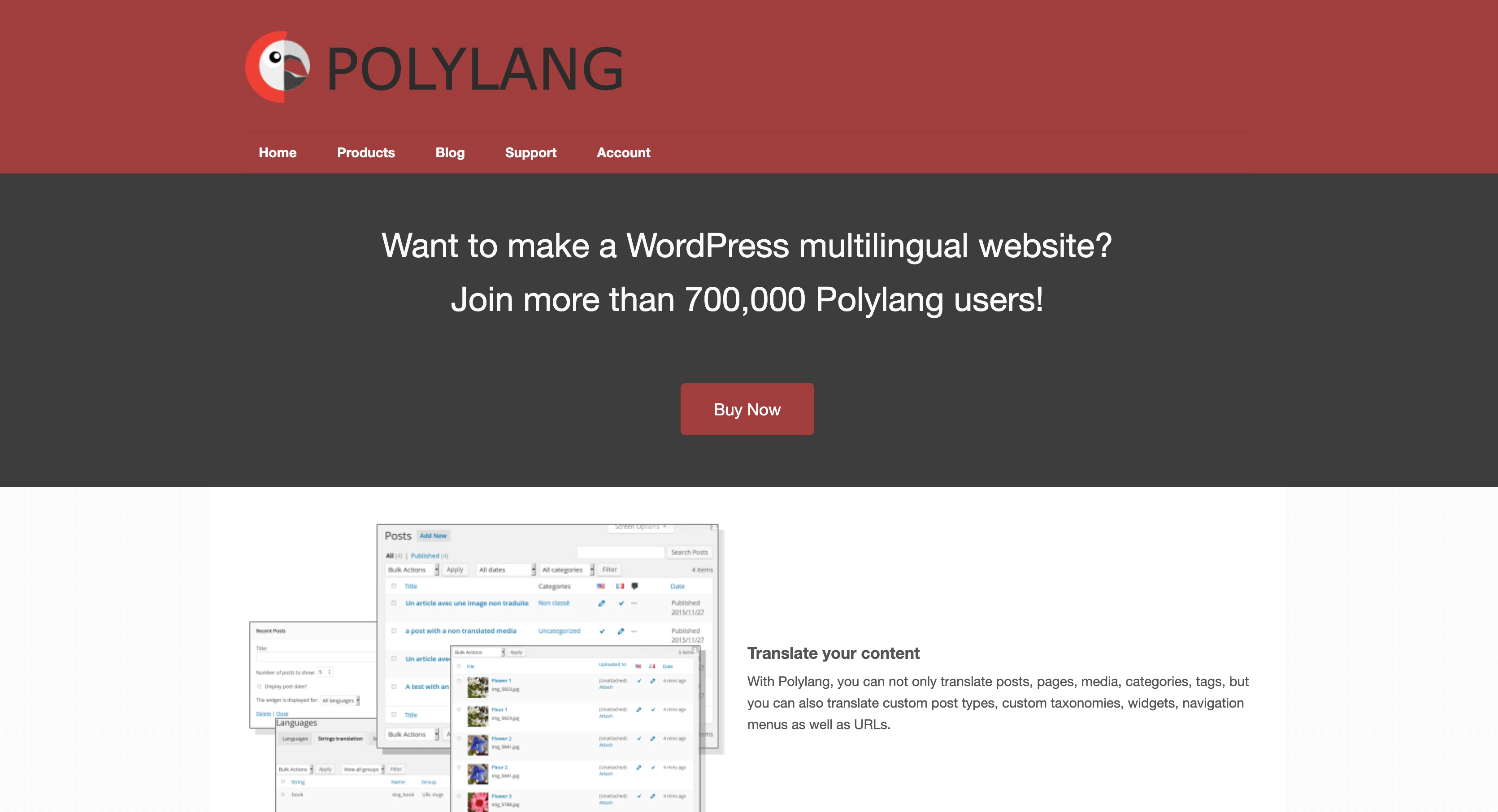 Polylang WordPress Translation Plugin
